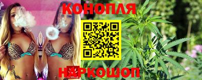 стафф Донской