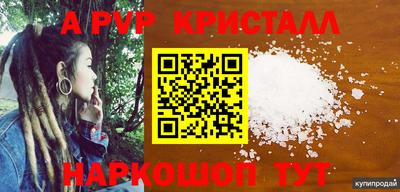 стафф Донской
