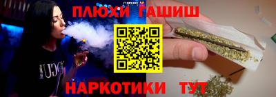 стафф Донской