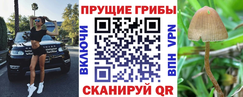 Галлюциногенные грибы мухоморы  цены наркотик  Михайловск 