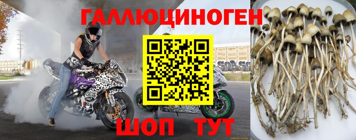 Псилоцибиновые грибы ЛСД Михайловск