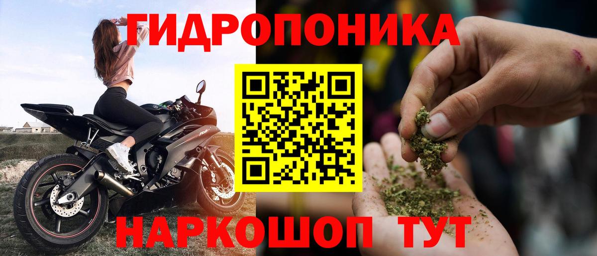 МАРИХУАНА OG Kush Михайловск